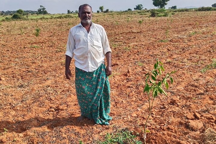 Farmer Transition Journey