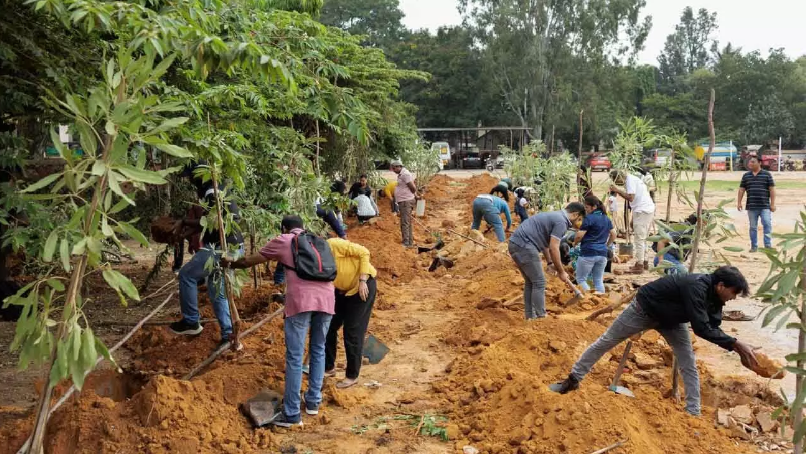 Himalaya Wellness, Say Trees, and Indian Army come together in a Collaborative Greening Initiative