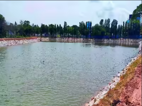 Neglected Lake Revived with Community Effort